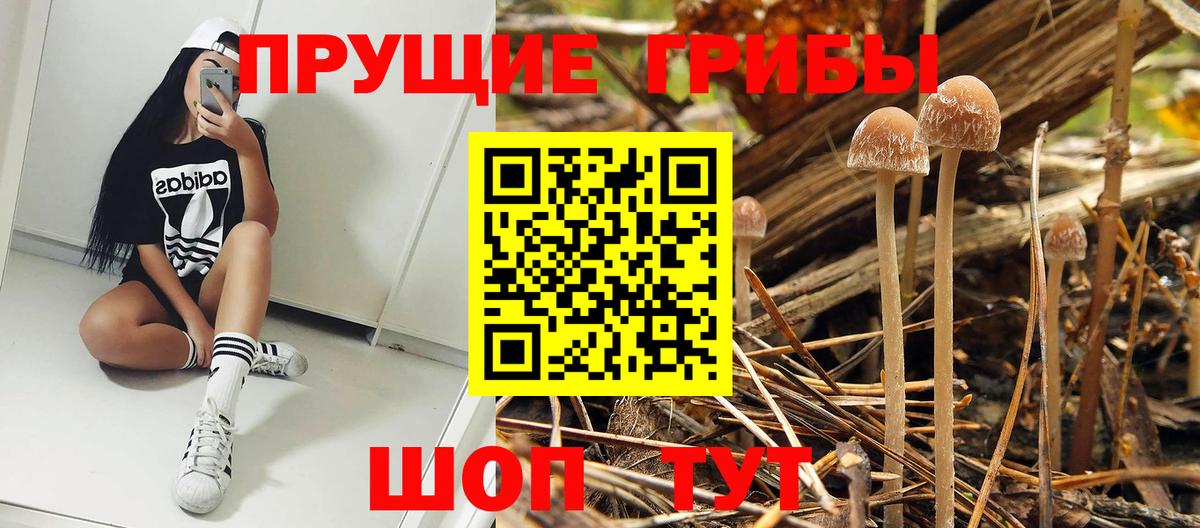 Псилоцибиновые грибы GOLDEN TEACHER  Вход с VPN  Юрга 