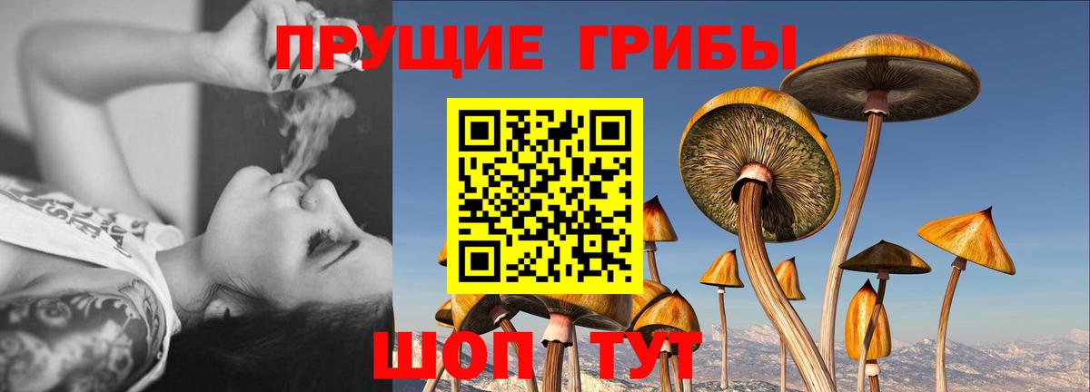 Галлюциногенные грибы GOLDEN TEACHER Юрга